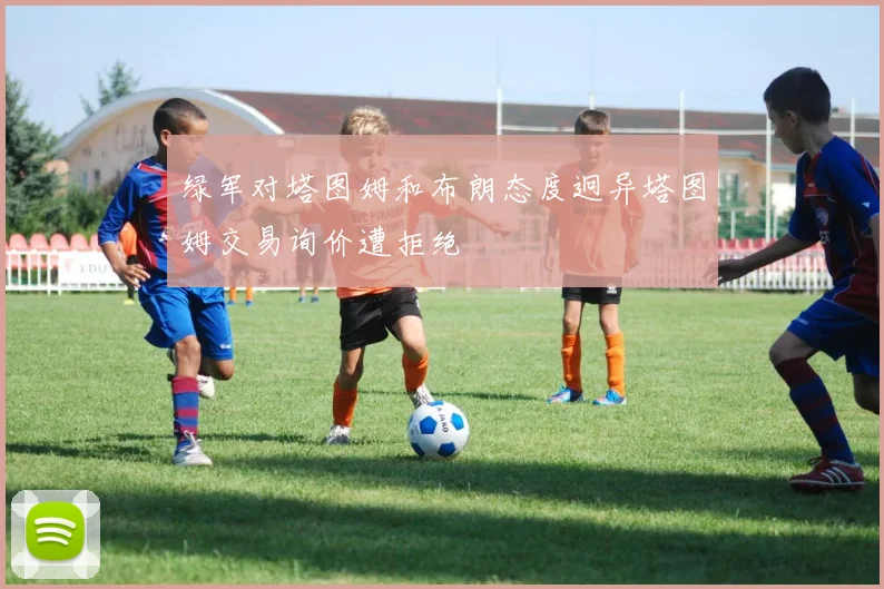 绿军对塔图姆和布朗态度迥异塔图姆交易询价遭拒绝